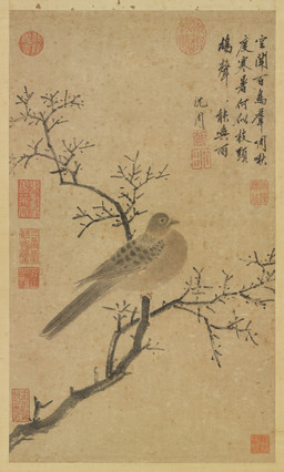 ambiguous_feral ambiguous_gender avian_feet beak biped bipedal_feral branch feathered_wings feathers feral markings on_branch side_view simple_background solo spots spotted_body spotted_feathers standing tail tail_feathers text wings shen_zhou avian bird columbid dove 15th_century absurd_res ancient_art chinese_text hi_res painting_(artwork) traditional_media_(artwork) traditional_painting_(artwork) translation_request