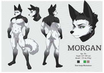 anthro biped border butt claws feet fingers front_view fur looking_at_viewer male navel nude nude_anthro nude_male rear_view scar simple_background solo standing tail text toes white_border pgm300 canid canine mammal 2026 absurd_res digital_drawing_(artwork) digital_media_(artwork) english_text hi_res