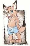 :d ageplay blue_eyes bottomwear clean_diaper clothed clothing diaper diaper_under_clothing fur infantilism looking_at_viewer male roleplay shorts shorts_only smile solo tail thin_diaper toddler topless wearing_diaper young familliar kangaroo macropod mammal marsupial