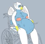 anthro disability female holding_belly obese overweight pregnant simple_background sitting solo stretch_marks unborn_kicking vehicle wheelchair wings veiled_lioness eris_(legends_of_chima) accipitrid accipitriform avian bird eagle hi_res