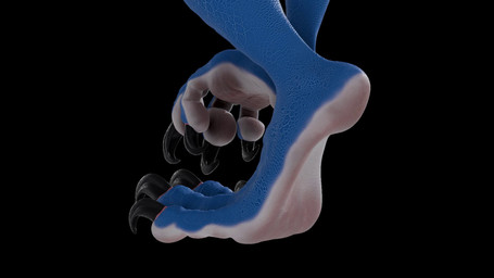 ambiguous_gender anthro claws feet foot_focus hindpaw paws solo toes jansy_derg mythology dragon mythological_creature mythological_scalie reptile scalie 16:9 3d_(artwork) animated digital_media_(artwork) hi_res no_sound short_playtime turntable_(animation) video widescreen