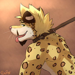 anthro beard blonde_hair bodily_fluids brown_beard brown_body brown_collar brown_ears brown_facial_hair brown_fur brown_leash cheek_tuft collar countershading dark_beard dark_ears facial_hair facial_tuft fangs fur glistening glistening_eyes green_eyes hair leash leash_pull male markings messy_hair open_mouth open_smile pink_nose pink_tongue smile solo spots spotted_arms spotted_back spotted_body spotted_fur sweat teeth tongue tongue_out tuft white_body white_fur yellow_body yellow_fur pache_riggs felid mammal 1:1 hi_res signature
