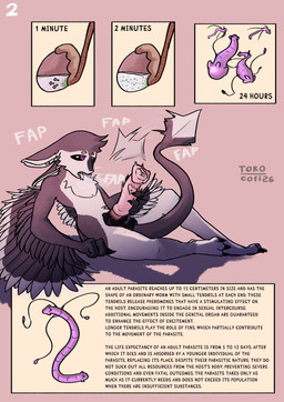 3_fingers 3_toes 4_ears animal_genitalia animal_penis anthro arm_support balls big_penis black_body black_claws black_feathers black_finger_claws black_fur black_genitals black_sclera black_toe_claws bodily_fluids chest_tuft claws countershading description digitigrade directional_arrow dripping emanata enjoying equine_genitalia equine_penis erection fap_(sound_effect) feathered_wings feathers feet finger_claws fingers flared_penis forked_tongue fur genital_fluids genitals gradient_penis hair heart_eyes heart_symbol holding_penis huge_penis impregnation infestation infesticles information information_box information_section internal internal_testicles leaning leaning_backward leaning_on_elbow long_tail looking_pleasured male masturbation medial_ring mismatched_animal_penis mismatched_genitalia mismatched_penis motion_lines multi_ear multicolored_body nude number open_mouth organs page_number parasite penile penile_masturbation penis pink_genitals pink_penis precum precum_drip precum_on_penis purple_eyes simple_background solo sound_effects tail tail_between_legs tail_motion tailwag teeth testicle_impregnation testicular_pregnancy text text_box time_period toe_claws toes tongue tongue_out tuft tufted_fur unusual_pregnancy urethra white_body white_feathers white_fur winged_arms wings tokocofi fyr_(fenrir784) avali avian bird worm 2026 absurd_res artist_name colored comic dated digital_drawing_(artwork) digital_media_(artwork) english_text hi_res sequence shaded signature simple_shading maleherm_(lore)