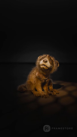 ambiguous_gender brown_body brown_fur cybernetics feral fur gesture hand_gesture happy machine scared shaking shaved_head shivering solo tail tail_motion tailwag thumbs_up whimper whiskers young young_feral framestore guardians_of_the_galaxy marvel rocket_raccoon mammal procyonid raccoon 3d_(artwork) 3d_animation 9:16 animated digital_media_(artwork) hi_res official_art short_playtime sound video