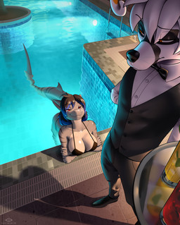 anthro beverage bikini black_hair bottomwear bow_tie breasts clothing duo fur glistening glistening_breasts grey_body gynomorph hair intersex intersex/male looking_at_another looking_down looking_up male mostly_nude night orange_eyes pants partially_submerged red_eyes shirt swimming_pool swimwear topwear two-piece_swimsuit waiter waiter_suit water whiskers white_body white_hair codyblue-731 max_(max_the_crux) crux fish marine shark hi_res