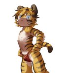 anthro asian_clothing black_stripes blue_eyes bulge clothed clothing countershade_face countershade_torso countershading east_asian_clothing fundoshi fur hair japanese_clothing kemono looking_at_viewer male open_mouth orange_body orange_fur pawpads pupils red_clothing red_fundoshi red_underwear shota slit_pupils solo striped_body striped_fur striped_hair stripes tail underwear underwear_only young young_anthro jam_uo felid mammal pantherine tiger 2022 hi_res