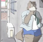 anthro belly blue_clothing blue_underwear blush boxers_(clothing) brown_body brown_fur clothing detailed_background fur kemono male necktie outside overweight overweight_anthro overweight_male shirt solo topwear underwear emufu canid canine canis domestic_dog mammal 2013