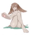 4_fingers 4_toes :3 anthro bangs biped black_nose blush brown_hair claws collarbone crossed_legs featureless_crotch feet female fingers fur grey_body grey_fur hair humanoid_hands kemono looking_at_viewer mouth_closed nude orange_eyes paws short_hair simple_background sitting smile solo toes white_background white_claws mibuchi lagomorph leporid mammal rabbit digital_media_(artwork) full-length_portrait portrait