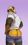 anthro blonde_hair bottomwear bottomwear_down butt clothed clothing hair looking_at_viewer looking_back male muscular pants pants_down partially_clothed presenting presenting_hindquarters shirt short_tail shorts solo standing t-shirt tail tongue tongue_out topwear amarox chester_(amarox) canid canine canis domestic_dog mammal mastiff molosser rottweiler absurd_res digital_drawing_(artwork) digital_media_(artwork) hi_res