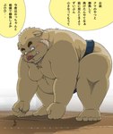 2022 anthro asian_clothing belly big_belly blush brown_body canid canine clothing dekatanu duo east_asian_clothing hi_res humanoid_hands japanese_clothing japanese_text kemono macro male mammal mawashi moobs overweight overweight_male size_difference suid suina sumo sumo_ring sus_(pig) text translation_request wild_boar