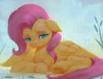 cutie_mark feathered_wings feathers female feral hair hooves long_hair solo wings rodrigues404 friendship_is_magic hasbro my_little_pony mythology fluttershy_(mlp) equid equine mammal mythological_creature mythological_equine pegasus 2018