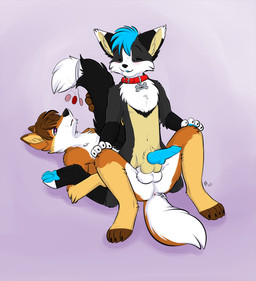 anal anal_penetration animal_genitalia animal_penis anthro anus balls blue_hair blue_penis blush brown_hair canine_genitalia canine_penis collar duo erection fur genitals grey_body grey_fur hair hypnosis knot lying male male/male male_on_bottom male_on_top male_penetrated male_penetrating male_penetrating_male mind_control nude on_back on_bottom on_top penetration penis power_bottom reverse_cowgirl_position sex spiral spiral_eyes spread_legs spreading straddling kwik_(artist) canid canine fox mammal 2014 hi_res