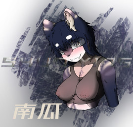 areola bra breasts chest_tuft clothing erect_nipples female looking_at_viewer medium_breasts nipples pose solo tuft underwear shuoying canid canine fox mammal 2026 bust_portrait colored digital_drawing_(artwork) digital_media_(artwork) portrait shaded
