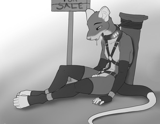 5_fingers 5_toes anthro bdsm bodily_fluids chastity_cage chastity_device collar control_collar drooling feet fingers male saliva sign simple_background sitting slave solo submissive submissive_male tail toes ruaidri mammal murid murine rat rodent 2020 digital_media_(artwork) monochrome