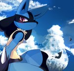2020 ambiguous_gender anthro arm_spikes blue_body blue_fur blush chest_spike detailed_background fur generation_4_pokemon grass hi_res long_tail looking_at_viewer lucario multicolored_body nintendo plant pokemon pokemon_(species) red_eyes sky skyscape solo spikes spikes_(anatomy) syuya tail tan_body tan_fur