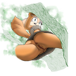 anthro anus clothed clothing female fur genitals low-angle_view no_underwear orange_body orange_fur pubes solo tail upskirt vulva worm's-eye_view jenokamui sega sonic_boom sonic_the_hedgehog_(series) sticks_the_jungle_badger badger mammal mustelid musteline 1:1 2026 hi_res