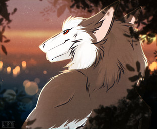 anthro big_ears brown_body brown_eyes brown_fur cheek_tuft ears_back facial_tuft fluffy fur happy male neck_tuft outside pivoted_ears smile solo star sunset tuft white_body white_fur shyryp fandox_(character) mammal sergal absurd_res digital_media_(artwork) hi_res portrait