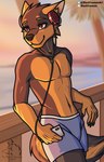 anthro athletic athletic_male blue_clothing blue_swimming_trunks blue_swimwear blurred_background clothed clothing cybernetics fur grey_body grey_fur leaning_on_railing looking_away machine male red_headphones solo swimming_trunks swimwear tan_body tan_fur topless two_tone_tail white_phone blackfreeman ylsun_(y15un) canid canine canis domestic_dog german_shepherd herding_dog hunting_dog mammal pastoral_dog terrier yorkshire_terrier 2023 digital_media_(artwork) digital_painting_(artwork) hi_res