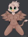 anthro beak breasts brown_body female genitals green_eyes kneeling navel nipples non-mammal_breasts non-mammal_nipples pussy slightly_chubby solo spread_legs spreading young young_anthro lylejones mythology avian bird gryphon mythological_avian mythological_creature absurd_res hi_res