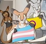 anthro bottomless bra brown_body brown_fur brown_hair claws clothed clothing detailed_background ear_piercing eyebrow_piercing eyes_closed facial_piercing female flag flag_(object) fur grey_body grey_claws grey_fur grey_nose group hair holding_flag holding_object inside intersex_pride_colors lgbt_pride piercing pink_tongue pouch_(anatomy) pride_color_flag pride_colors shirt sports_bra subculture_pride_colors tongue tongue_out topwear transgender_pride_colors trio underwear white_body white_fur lizet audrey_(lizet) nate_(lizet) nathan_granier tyroo_(character) kangaroo macropod mammal marsupial 2022 digital_drawing_(artwork) digital_media_(artwork) shaded