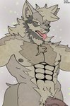 abs fur genitals green_eyes grey_body grey_fur looking_at_viewer male nipples pecs penis solo teeth tongue tongue_out vein veiny_penis fer canid canine canis mammal wolf 2022 absurd_res hi_res