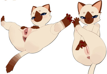 anthro anus blue_eyes brown_body brown_fur brown_markings clothing female fur gaping gaping_vagina genitals handwear legs_up markings mittens nude nude_female pawpads presenting presenting_vulva semi-anthro simple_background smile solo spread_vulva spreading vulva white_background white_body white_fur skeleton265 capcom monster_hunter felid feline felyne lynian mammal palico hi_res