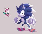 ambiguous_gender anthro biped blue_body blue_fur claws clothing duo fist flying footwear frown fur grey_background male open_mouth open_smile red_body red_fur shoes simple_background smile standing white_body white_fur wings smallpanda sega sonic_the_hedgehog_(series) sonic_unleashed chip_(sonic) sonic_the_hedgehog sonic_the_werehog eulipotyphlan mammal werecreature wereeulipotyphlan werehog 2020 hi_res