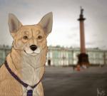 baroque_architecture black_nose blurred_background building city cloud collar column feral fur looking_at_viewer monument multicolored_body multicolored_fur orange_eyes photo_background russia sitting smile solo st._petersburg tan_body tan_fur white_body white_fur cinta canid canine canis domestic_dog herding_dog mammal pastoral_dog welsh_corgi 2016 photography_(artwork)