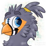 accessory beak blue_eyes feathered_wings feathers feral grey_body hair_accessory hair_tie male markings orange_markings spots wings skydancer04 mythology ruzzy avian gryphon mythological_avian mythological_creature zebra_finch 1:1