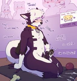 5_fingers anthro ball bdsm being_watched black_glans black_nipples black_penis blush bodily_fluids bone chest_tuft collar collar_tag cum cum_on_leg cum_on_penis curled_tail ejaculation encouragement erection facial_piercing femboy fingerless_(marking) fingerless_gloves_(marking) fingers foreskin fur genital_fluids genitals glans gloves_(marking) group hair heart_symbol humanoid_genitalia humanoid_penis kneeling looking_at_another male markings masturbation moan multicolored_body neck_tuft nipples nude open_mouth penile penile_masturbation penis petplay piercing praise pubes roleplay smile solo_focus tail text tuft two_tone_body voyeur white_hair kyrosh stampertpandragon straye_aspen canid canine mammal digital_media_(artwork) english_text hi_res signature