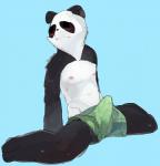 anthro barefoot biped blush boxers_(clothing) bulge clothed clothing cute_fangs eyes_closed fangs feet kneeling looking_away low-riding male nipples solo spread_legs spreading teeth tenting topless underwear young liteu bear giant_panda mammal hi_res