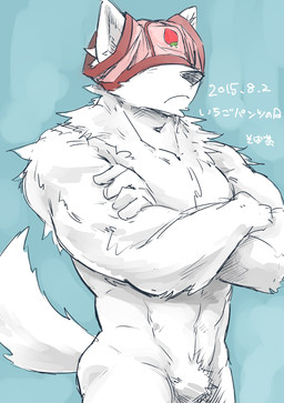 abs anthro biped black_nose blue_background boxer_briefs clothing crossed_arms crotch_tuft food frown fruit fur hidden_eyes kemono male muscular muscular_anthro muscular_male nude pink_clothing pink_underwear plant pubes simple_background solo standing strawberry text tuft underwear underwear_on_head white_body white_fur royalsobatya canid canine canis domestic_dog mammal 2015 dated hi_res japanese_text
