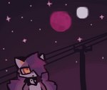 ambiguous_gender detailed_background hair looking_at_object moon multi_tail night purple_hair semi-anthro sky solo star tail yakkotsuki yuki_(labbit) canid canine fox mammal