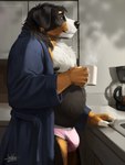 2022 3:4 anthro belly bernese_mountain_dog beverage black_body black_fur black_nose brown_body brown_fur bulge canid canine canis clothed clothing coffee coffee_mug countershading digital_media_(artwork) domestic_dog fur hi_res humanoid_hands inside jaykat male mammal molosser moobs mountain_dog nipples open_clothing open_robe overweight overweight_male robe shaded solo swiss_mountain_dog underwear white_body white_fur