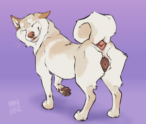 animal_genitalia animal_vulva anus brown_vulva canine_genitalia canine_vulva curled_tail eyes_closed female feral fur genitals pawpads paws pink_anus quadruped raised_paw smile solo tail tan_body tan_fur vulva white_body white_fur hakudoge canid canine canis domestic_dog mammal shiba_inu spitz 2026 digital_media_(artwork) hi_res