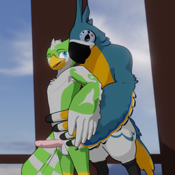 anal anal_penetration anthro anthro_on_anthro anthro_penetrated anthro_penetrating balls beak blue_body blue_feathers bouncing_balls bouncing_penis duo erection feathers from_behind_position genitals looking_back looking_pleasured male male/male male_penetrated male_penetrating male_penetrating_male multicolored_body penetration penile penile_penetration penis penis_in_ass sex samtheavianite breath_of_the_wild nintendo the_legend_of_zelda kass_(tloz) sam_the_avianite avian bird rito 1:1 2022 3d_(artwork) 3d_animation animated cel_shading digital_media_(artwork) hi_res loop no_sound shaded short_playtime video