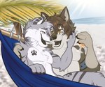 anthro beach beverage biped detailed_background duo hammock love male male/male male_anthro romantic romantic_couple sea soda summer sun water naoto canid canine canis mammal wolf 6:5 hi_res