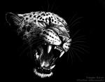2014 ambiguous_gender angry bared_teeth black_and_white blackteagan felid feral leopard mammal monochrome pantherine solo