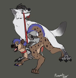 anal anal_penetration anthro anthro_on_feral anthro_penetrated anthro_to_feral bestiality black_body black_fur black_markings black_nose black_sclera bodily_fluids claws collar erection feral feral_penetrating feral_penetrating_anthro feral_transformation fur genital_fluids genitals leash leash_in_mouth leash_pull leashed_collar male male/male male_on_feral male_penetrated male_penetrating male_penetrating_male markings mechanical_leg mid_transformation object_in_mouth orange_eyes paws penetration penis precum quadruped scales sex toe_claws transformation white_body white_fur pixiemiata star_wars fervis_(razim) ibzan canid canine canis hyena loth-wolf mammal wolf hi_res