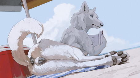 anatomically_correct anatomically_correct_genitalia anatomically_correct_vulva animal_genitalia animal_vulva anthro anus beach beach_towel beach_umbrella black_anus black_pawpads black_vulva blue_eyes book butt canine_genitalia canine_vulva cooler digitigrade female fur genitals looking_at_viewer looking_back looking_back_at_viewer open_book parasol pawpads reading reading_book solo towel vulva white_body white_fur cosmiclife canid canine canis mammal wolf hi_res