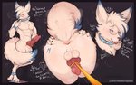 animal_genitalia animal_penis ankle_markings anthro anus arm_markings arm_tuft aroused backsack ball_tuft balls biceps big_penis black_border black_nose blep blue_body blue_butt blue_collar blue_ears blue_eyes blue_face blue_fur blue_hair blue_highlights blue_markings blue_pupils blue_tail blush bodily_fluids border breath butt butt_markings butt_tuft canine_genitalia canine_penis cheek_markings cheek_tuft chest_tuft claws closed_smile collar collar_only dialogue dipstick_ears dipstick_tail dripping ear_markings ear_tuft elbow_tuft erection eyewear eyewear_only facial_markings facial_tuft finger_claws fluffy fluffy_hair fluffy_tail fur fur_markings fur_tuft genital_fluids genital_leash genitals glasses glasses_only glistening glistening_anus glistening_bodily_fluids glistening_body glistening_eyes glistening_genital_fluids glistening_genitalia glistening_penis glistening_precum grey_background hair half-closed_eyes hand_on_butt head_markings highlights_(coloring) hip_tuft inner_ear_fluff knot leash leg_markings light male markings monotone_anus monotone_balls monotone_genitals monotone_knot monotone_leash monotone_penis monotone_text motion_lines mouth_closed mouth_hold multicolored_body multicolored_butt multicolored_ears multicolored_face multicolored_fur multicolored_hair multicolored_tail muscular muscular_anthro muscular_male musk narrowed_eyes navel neck_tuft nude object_in_mouth open_mouth panting paws pecs pen penis penis_backwards penis_leash penis_tuck perineum pink_anus pink_knot pink_penis pink_tongue pointy_ears pose precum presenting presenting_anus presenting_balls presenting_hindquarters presenting_penis prick_ears pupils raised_tail rear_view shadow shaking sheath short_hair simple_background smile snout solo spread_anus spread_butt spreading sweat sweatdrop tablet_pen tablet_pen_in_mouth tail tail_markings teeth text thick_thighs tongue tongue_out trembling tuft two_tone_butt two_tone_ears two_tone_face two_tone_hair vein veiny_penis wearing_glasses white_balls white_body white_butt white_ears white_face white_fur white_hair white_perineum white_sheath white_tail white_text wide_hips wrist_markings yellow_leash thevixenmagazine patreon chulainn_(thevixenmagazine) canid canine canis fennec_fox fox mammal true_fox wolf 16:10 digital_media_(artwork) english_text model_sheet signature url widescreen