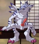 animal_genitalia animal_penis anthro balls canine_genitalia canine_penis dog_tags erection genitals hand_on_object inside knot male penis scar sitting smile solo teeth_showing otakujackal thegreatmatsutzu bandai_namco digimon canid canine digimon_(species) mammal weregarurumon