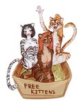 anthro big_breasts blep blush box breasts container female female_anthro fur group hair happy nipples nude playful shy simple_background small_breasts smile take_your_pick tongue tongue_out trio hauringu felid feline mammal pantherine tiger digital_media_(artwork)