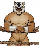 2016 anthro biceps biped brown_body brown_fur claws cougar felid feline fffffolder fighting_ring flaccid fur genitals looking_at_viewer luchador male mammal mask muscular muscular_anthro muscular_male navel nipples nude pecs penis pink_nose pubes rope solo standing wrestler