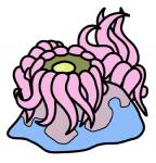 1_eye 2017 alternate_species ambiguous_gender anthozoan blue_body bugdex cnidarian corsola digital_drawing_(artwork) digital_media_(artwork) fakemon feral front_view full-length_portrait generation_2_pokemon grey_body marine multicolored_body nintendo pink_tentacles pokemon pokemon_(species) portrait ricky_hoffman rock sea_anemone simple_background solo tentacles toony two_tone_body white_background yellow_eyes