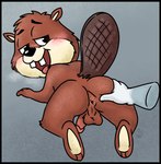 anthro anus balls blush breath brown_body brown_fur buckteeth butt disembodied_hand erection feet fluffy fur genitals half-closed_eyes humanoid_genitalia looking_back looking_pleasured male narrowed_eyes nude open_mouth panting paws penis perineum presenting presenting_anus smile solo spread_butt spread_legs spreading tail teeth toes tongue tongue_out conditional_dnp muffinlewds fallout microsoft hoover_dam_beaver_(fallout_nv) ray_the_vigilante beaver humanoid mammal rodent digital_media_(artwork) hi_res