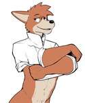 abs anthro bottomless brown_body brown_fur brown_hair clothed clothing clothing_lift fur hair male muscular muscular_male navel shirt shirt_lift simple_background solo tan_body tan_fur topwear undressing white_background jrjresq sherlock_hound_(series) sherlock_hound canid canine canis domestic_dog mammal 2022 5:6 half-length_portrait hi_res portrait