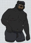 5_fingers anthro balls barely_visible_balls barely_visible_genitalia barely_visible_penis beard belly biped black_body black_eyebrows black_fur black_nose blue_clothing blue_eyes blue_underwear body_hair boxers_(clothing) brown_body brown_fur bulge checkered checkered_background clothed clothing eyebrows facial_hair fingers fur genitals hand_on_leg hand_on_thigh happy_trail hat headgear headwear humanoid_genitalia humanoid_penis looking_down male male_anthro multicolored_body navel nipples overweight overweight_anthro overweight_male partially_clothed partially_clothed_male pattern_background pecs peeking_penis penis pink_nipples russian simple_background smile solo soviet_union standing underwear vein veiny_penis white_background white_sclera unsafescapewolf echo_(series) echo_project the_smoke_room dimitri_popov bear black_bear mammal ursine 2024 digital_drawing_(artwork) digital_media_(artwork) hi_res portrait three-quarter_portrait