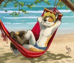 4_toes anthro barefoot beach brown_pawpads claws clothed clothing feet hair hammock male pawpads paws plantigrade seaside soles solo toes topless pandapaco canid canine canis domestic_dog fox husky hybrid mammal nordic_sled_dog spitz