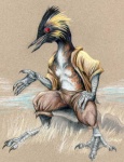 anthro beak biped bottomwear clothed clothing detailed_background grass looking_away male nature open_clothing open_mouth open_shirt open_topwear outside pants partially_clothed plant red_eyes red_sclera shirt sitting solo tongue topwear cara_mitten avian bird black-necked_grebe grebe traditional_media_(artwork)